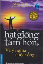 Hạt Giống Tâm Hồn 6: Và Ý Nghĩa Cuộc Sống